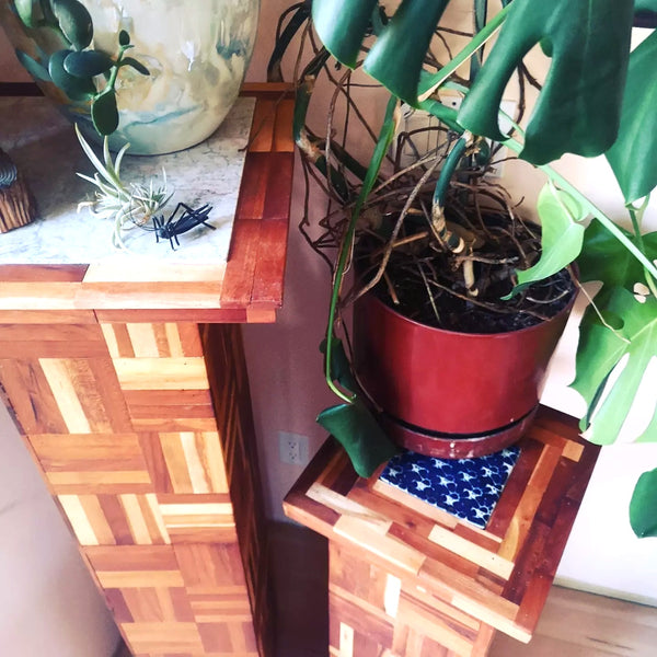Handmade plant/art stands