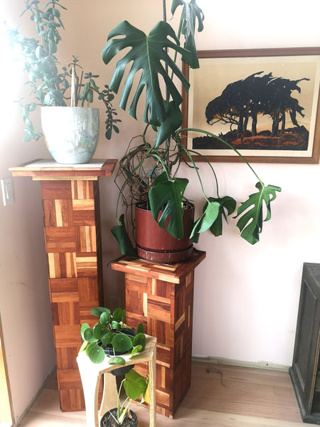 Handmade plant/art stands